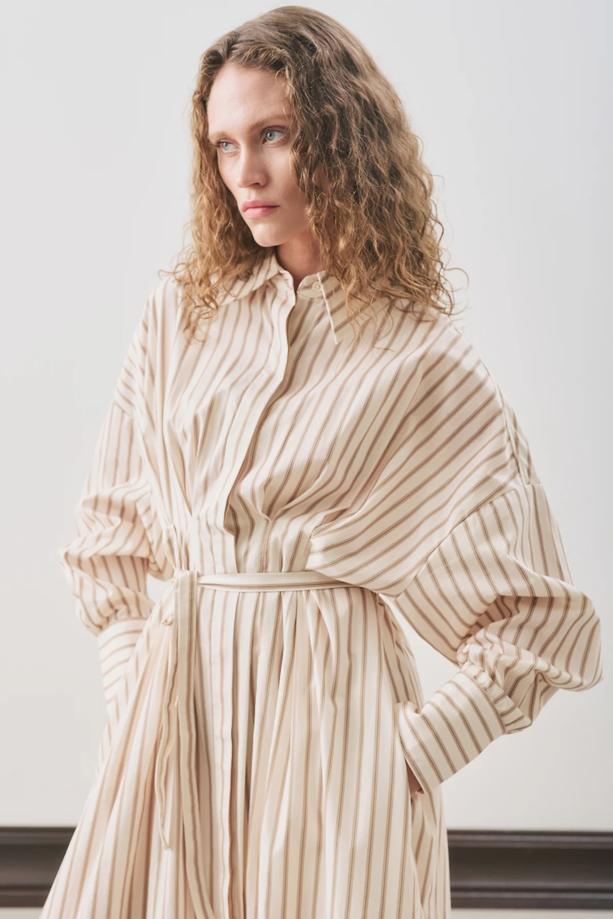 Pleated Detail Shirt Dress Beige Stripe - Image 3